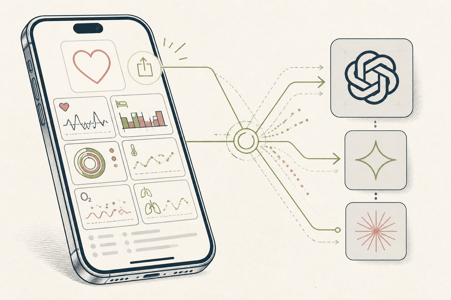 Apple Health setup — Set Up Apple Health for Data Export in 5 Minutes